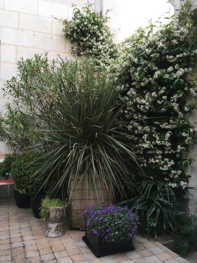 La Maison Du Palmier La Rochelle  Dış mekan fotoğraf